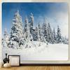 Snow Scene Home Decor Tapestry Psychedelic Scene Bohemia Wall Decor Background Cloth