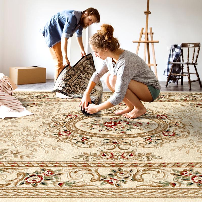 Персидский этнический ковер в скандинавском стиле для гостиной: Мягкий диван и подкладка для кофейного столика