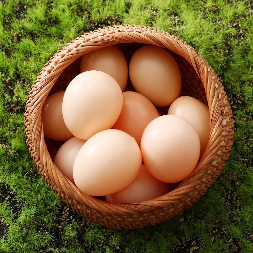 Toy Simulation Eggs Party Supplies Easter Egg Educational Toy Fake Chicken Eggs Artificial Eggs