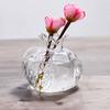 Transparent Pomegranate Glass Vase Creative Red Pomegranate Fruit Vase Hammer Pattern Handmade Hydroponic Flower Vase Office
