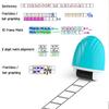 Equal Equation Roller Stamp Double Line Grid Math Correction Tool  Learning assistance tools