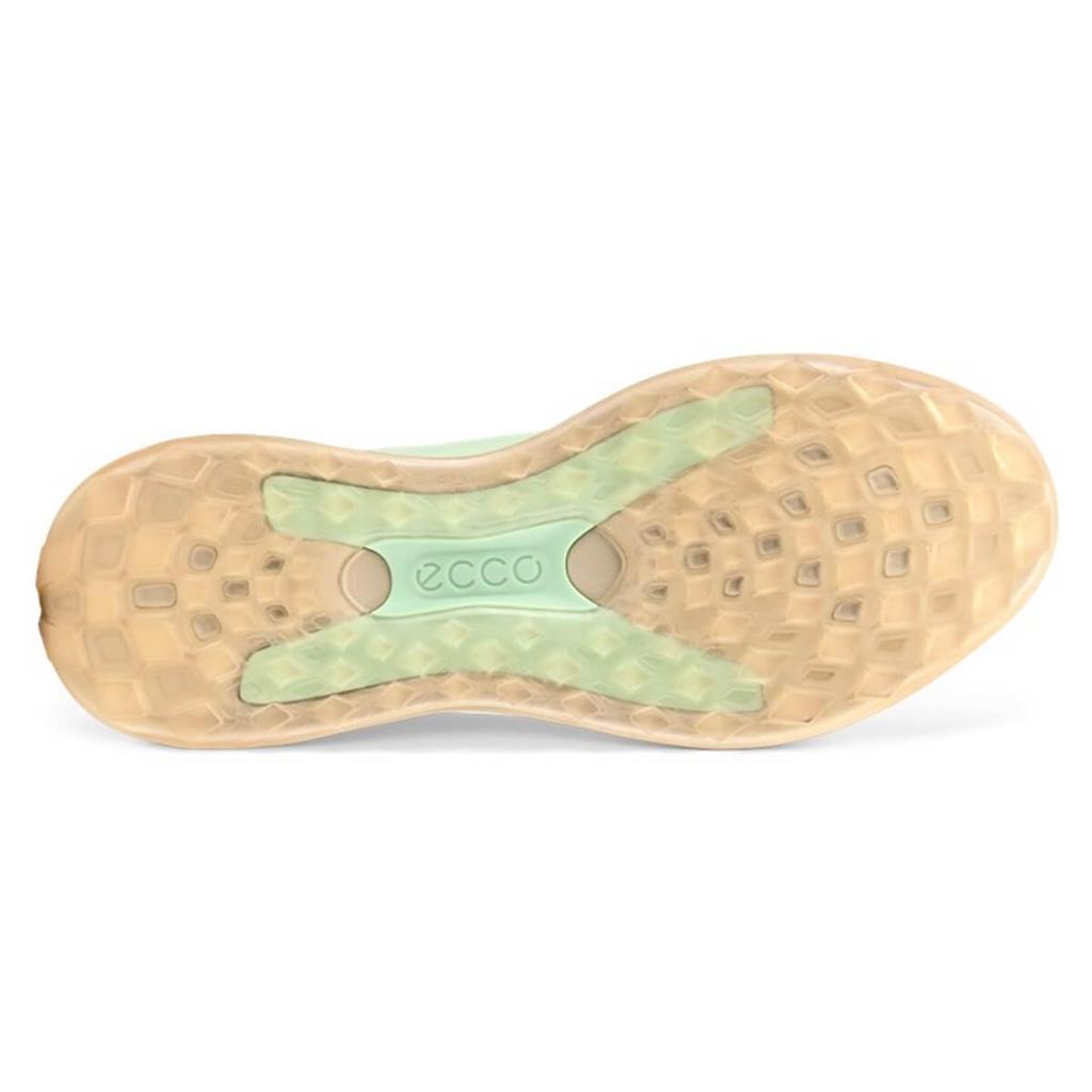 Golf Shoes Golf LT1 MATCHA cm 3E [ECCO] Women's 24.5