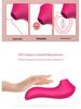 Little Dolphin Sucking Device: Magic Vibration Egg for Women's Self-Pleasure