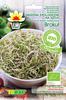 Organic Broccoli Seeds for Sprouts 10g of Vegetables for the Garden, Fresh, Large Crops