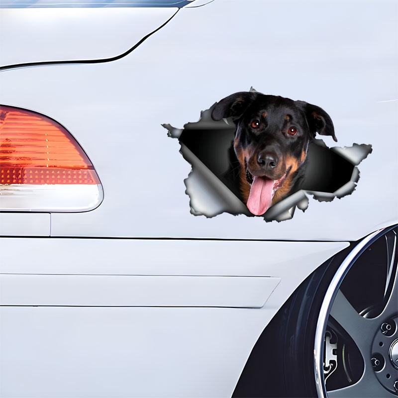 Beauceron Car Stickers Scratch Blocking Self-Adhesive Waterproof Decal, Used for Car, Laptop, Motorcycle, Van, RV