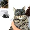 Высококачественная маска летучей мыши на Хэллоуин для кошек для косплея на Хэллоуин