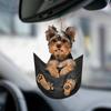 2D Cute Cat Puppy Car Hanging Cament Kitten Dog Simulation Model Creative Car Interior Decor Animal Acrylic Pendant Kid Toy Gift