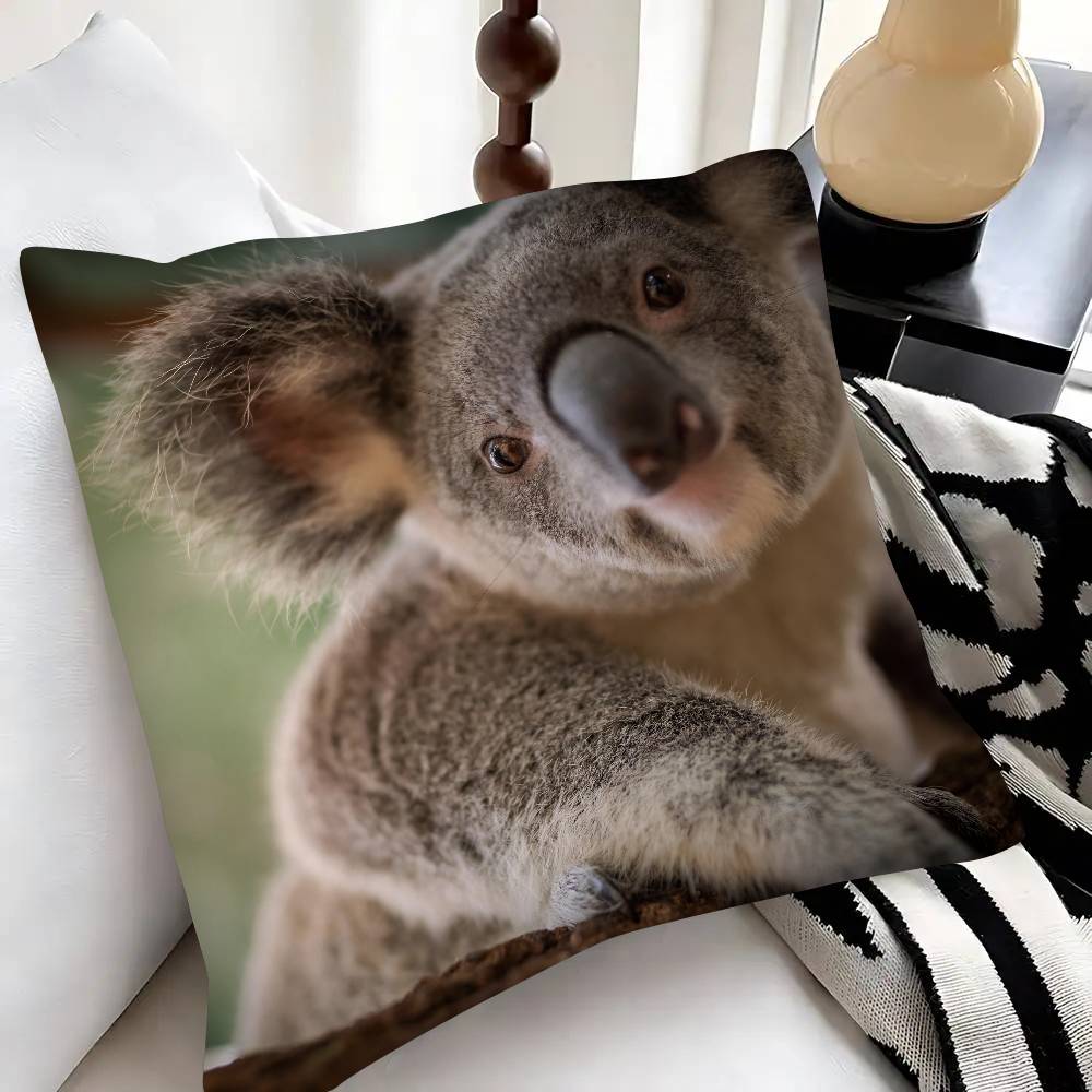 Cute Koala Pillow Case Fashion Square Pillowcase Bedroom Sofa Room Ins Decoration Leisure