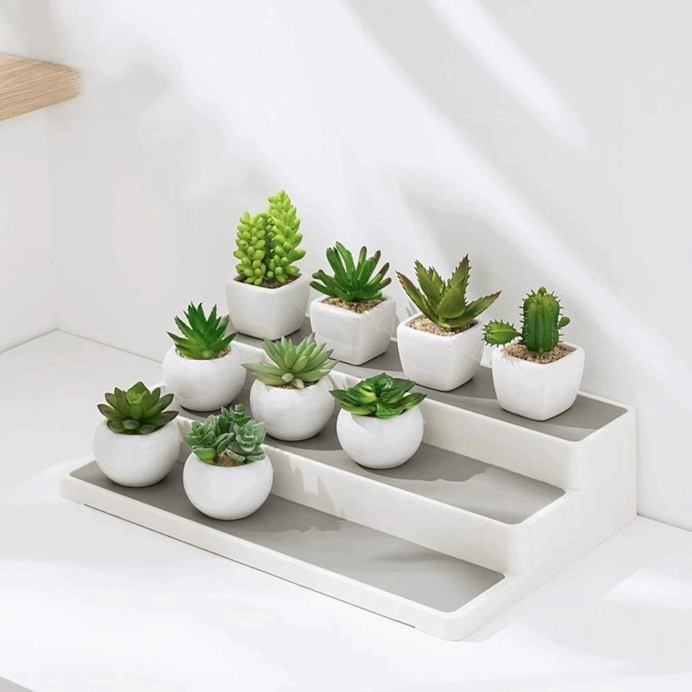 Moisture-Proof Condiment Bottle Rack PP Material Storage Shelf Kitchen Storage