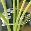 Подставка для стебля растения Акриловый держатель для стебля цветка Pothos Climbers Многоразовый держатель для стебля