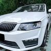 Накладки на фары "Брови" для Skoda Octavia MK3 2015-2017 Глянцевый черный / Под карбон Комплект кузовного обвеса Тюнинг