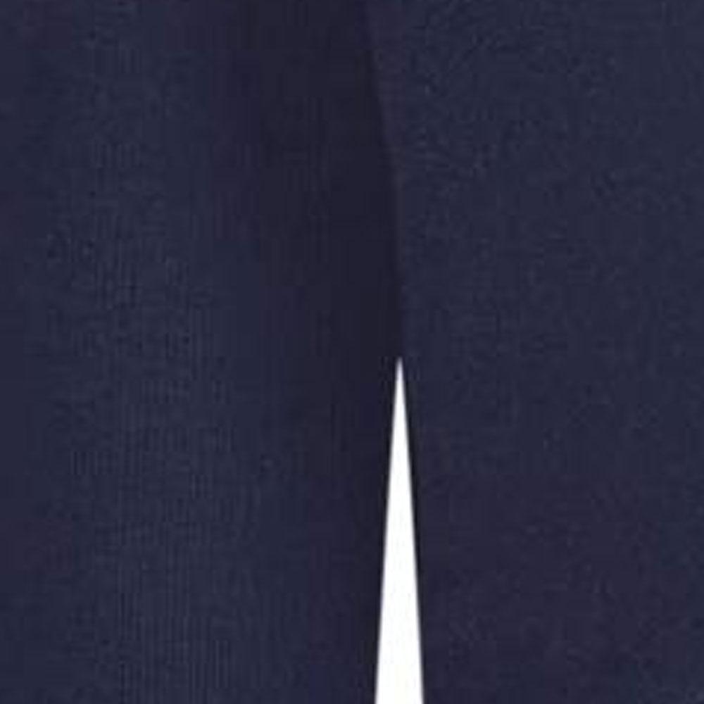 Polo Ralph Lauren Polo Logo Print Zip Long Sleeve Polo Shirt Men Tops Blue 710964985-001