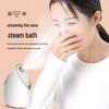 KingDom Hot Mist Facial Steamer