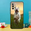 Cute Pit Bull Dog Pitbull Case For Samsung Galaxy A14 A24 A34 A54 A12 A22 A32 A52 S A13 A33 A53 A51 A71 Phone Cover