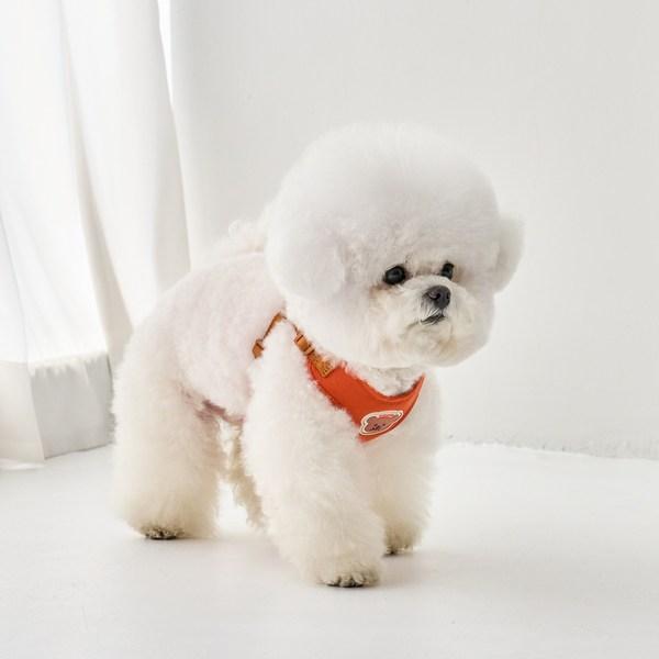 Шлейка для собаки Benny's в одно касание, оранжевая