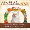 Nutro Natural Choice Cat Adult Salmon 2 кг Корм для кошек без добавления ароматизаторов или синтетических питательных веществ из фекалий. Без зерна [Без красителей/Без
