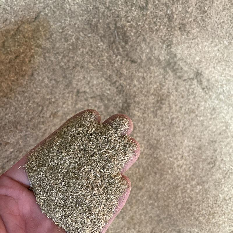 Catnip Toys for Cats 100% Natural Cat Mint Grass Menthol Cat Toy Healthy Safe Edible Treating Interactive Cat Non-toxic Supplies