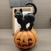 Halloween Theme Pumpkin Black Cat Decoration Ornaments Atmosphere Creative Scene Props Funny Resin Crafts
