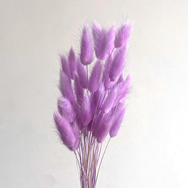50 шт., букет из сухоцветов с изображением кролика и хвоста кролика, декор для свадебной вечеринки, пушистые пампасы, рождественская цветочная композиция своими руками