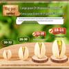 Every Fruit Time Соленые жареные фисташки 400 г