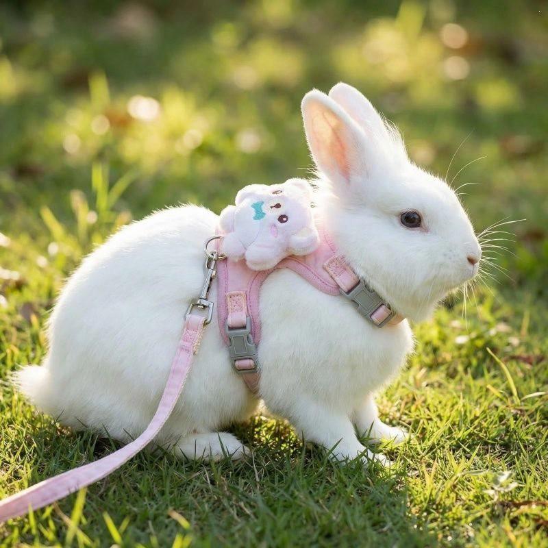 Adjustable Rabbit Leash Outdoor Walking - Escape-Proof Harness Lead Rope Dwarf Rabbits Small Pets Soft Grip Handle