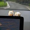 3 шт. Очаровательный котенок Декор для автомобиля Панель приборов и Центральная консоль Украшения - Милый Подходит для Панели приборов, Отделки рулевого колеса, Декорации ящика