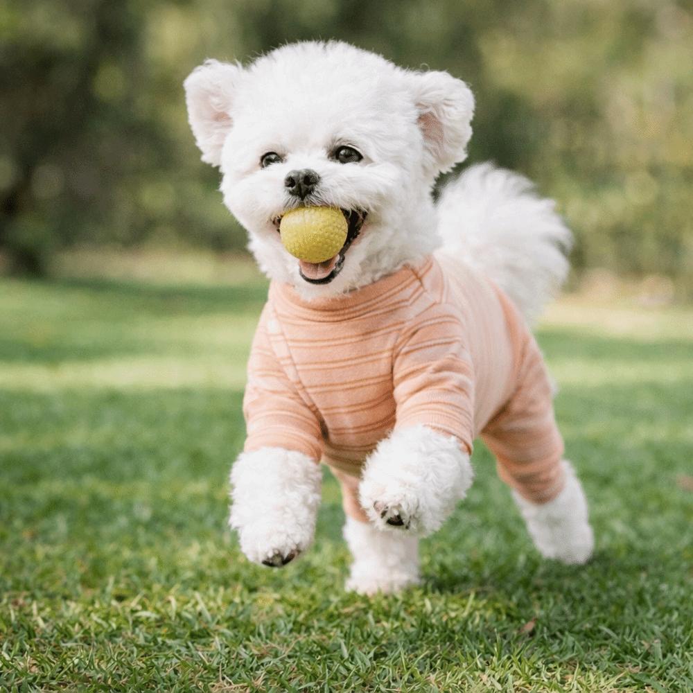Dog Belly Protective Apparel Soft Dog Striped Jumpsuit Four-legged Warm Dog Pajamas Comfortable Dog Recovery Suit Daily Wear