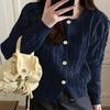 Autumn and Winter Knitwear Women's Sweater Embroidery Fashion Ageing Loose Twist Thickened Knitted Cardigan