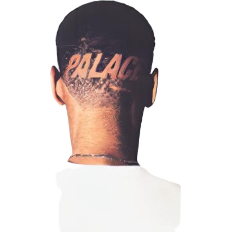 Palace Футболка с коротким рукавом и графическим принтом, унисекс, топы, белые, P13TS102