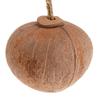 Natural Coconut for Shell Bird Nest House Hut Cage Feeder Toy with Hanging Lanyard for Pet Parrot