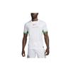 Nike Нигерия 2024 Стадион Домашняя Мужская Nike Dri FIT Футбольная Реплика Джерси FQ8837-100