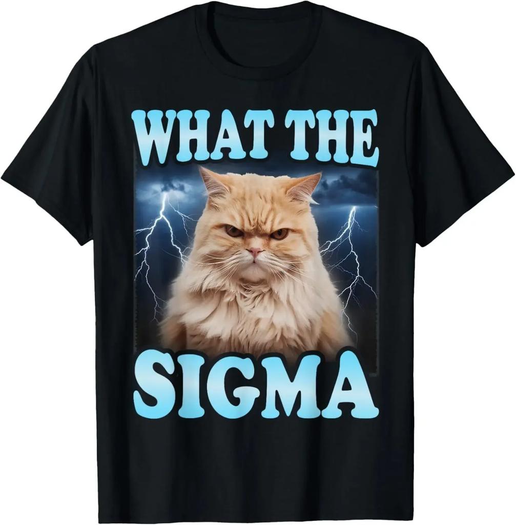 Что За Сигма Смешной Мем Про Кота Футболка - Веселая Толстовка с Молнией