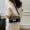 Pu Street Style Small Square Bag 2024 New Spring Fashion Shoulder Bag