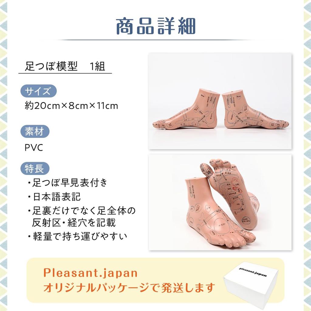 Easy To Memorize Foot Pressure Point Model Foot Pressure Point Massage Sole Diagram Foot Pressure Point Reflex Area 20cm Acupuncture Chiropractic
