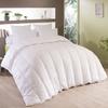 Couette chaude et douce 400gr/m² espritzen 220x240 cm blanc FRANCE DISCOUNT + 2 Oreillers 60x60 ( ou 45*70 )