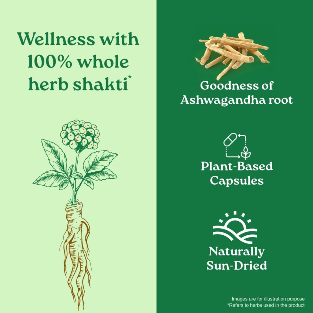 ORGANIC INDIA Ashwagandha Capsules 60 Veg Caps Boost Energy Stamina Support Vitality Stress Relief