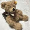 [USED] Steiff German Teddy Bear