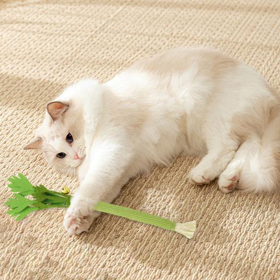 Игрушки для кошек Прочная плюшевая игрушка с кошачьей мятой Высокоплотный войлок Реалистичная форма сельдерея Снятие стресса и высвобождение энергии Мягкая игрушка для кошек