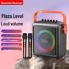Портативная уличная Bluetooth-колонка Newmine K509, штекер CN (адаптер в комплекте)