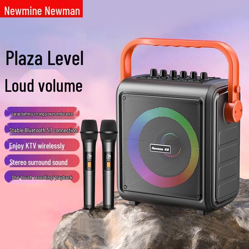 Портативная уличная Bluetooth-колонка Newmine K509, штекер CN (адаптер в комплекте)
