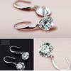 Loose Diamonds Earrings Long Section High-grade Zircon Earrings Women Earrings AVE