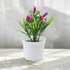 Универсальные и красивые 5 искусственных горшечных цветков каллы для продажи