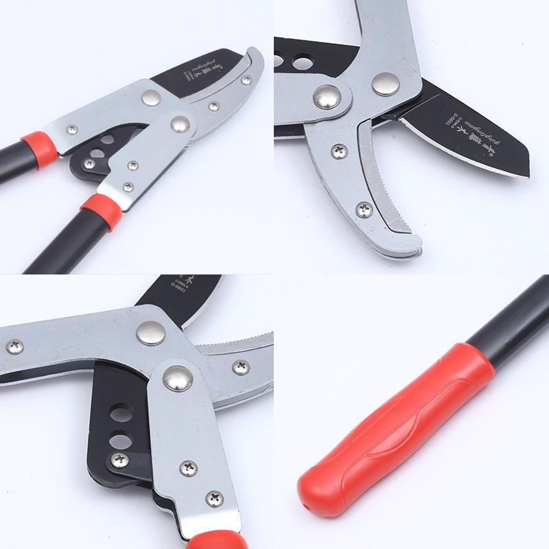 Green Ivy Wood Pruning Scissors for Fruit Trees and Thick Branches - Gardening Tools