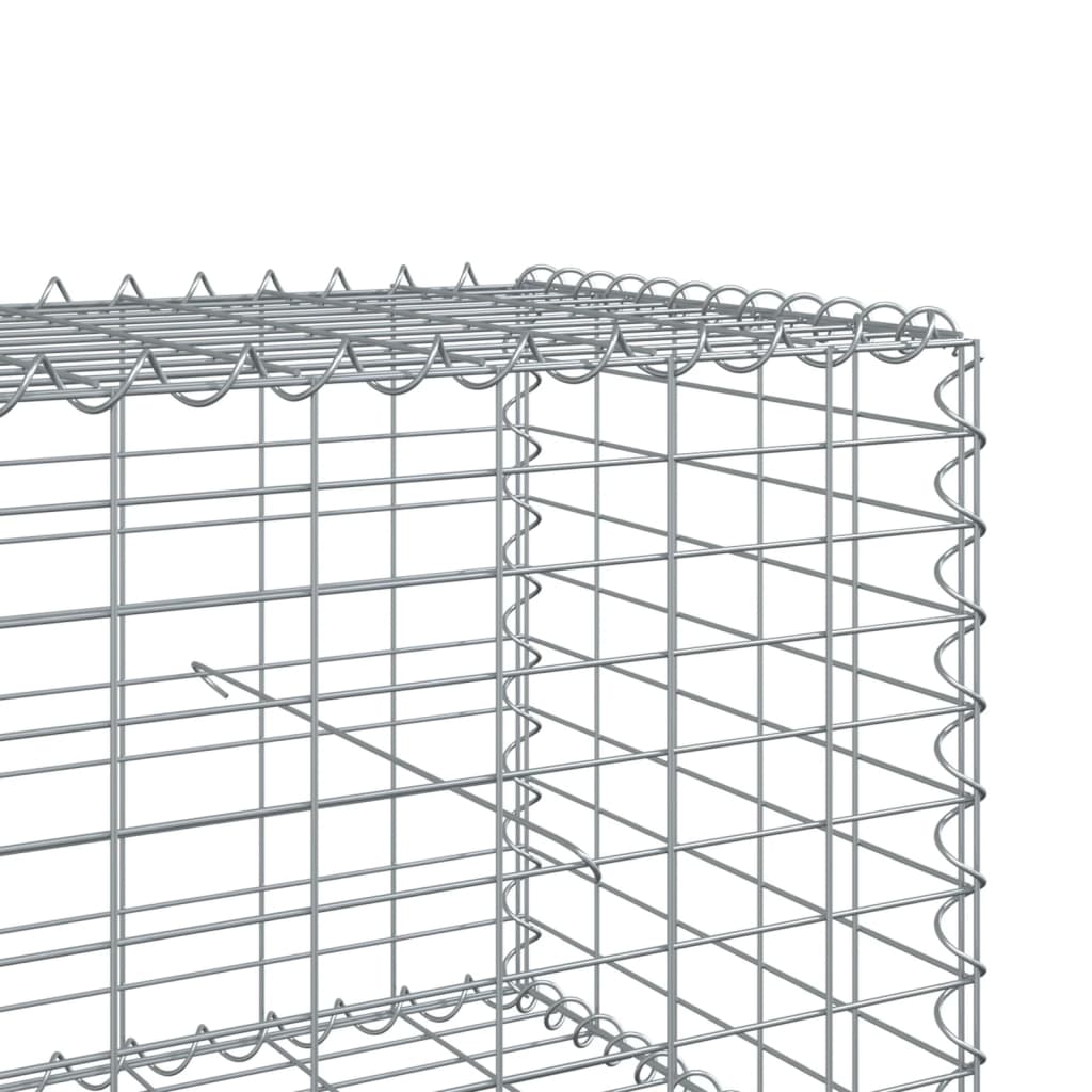 Gabion with Lid 900 x 100 x 50 cm Galvanized Iron