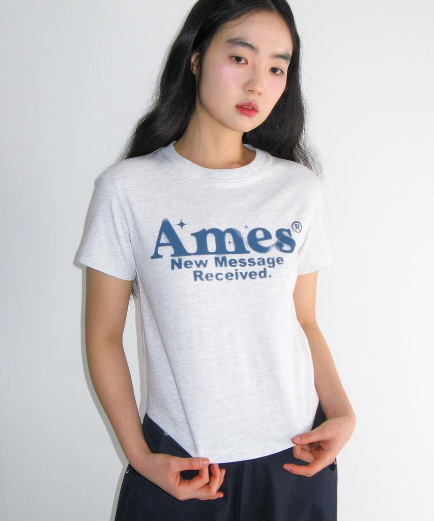 AMES-WORLDWIDE Укороченная футболка с округлым низом Светло-серая
