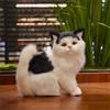 Сидячая поза Реалистичная кошка Чучело 3D глаза Реалистичная кошка Плюшевая игрушка Домашний декор