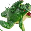 Звучащая игрушка-лягушка Прозрачная текстура Пазл Сложный реквизит Имитация звучащей игрушки-лягушки для презентаций