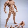 1/12 Супер-подвижная мужская экшн-фигурка - Wind Toys В наличии