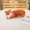 Симуляция 3D Плюшевые Подушки-Кошки и Тигры Мягкие Набивные Животные Подушка Декор для Дивана Мультяшные Плюшевые Игрушки Для Детей Девочки