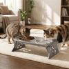 Foldable Raised Pet Feeder Removable Dog Double Bowl Cat Basin Elevated Cat Bowl  Dog Feeding